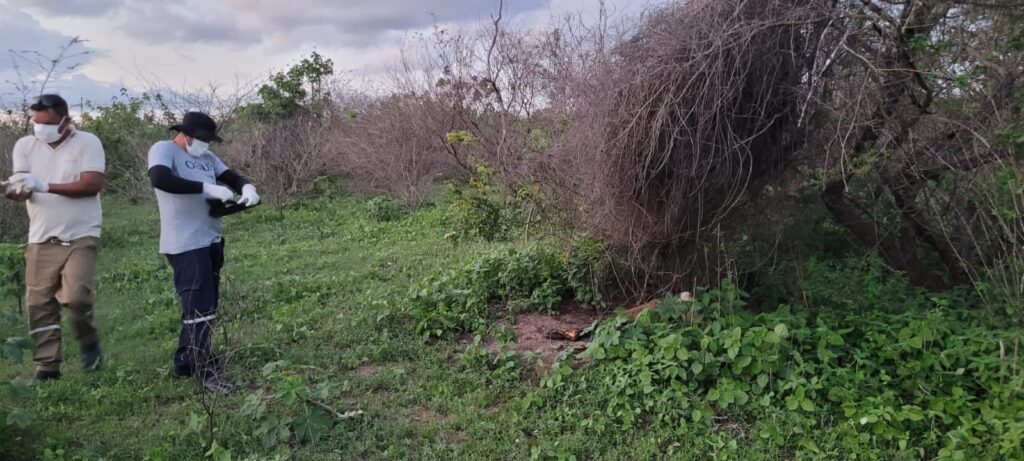 Corpo em estado de decomposição é encontrado na área rural de Delmiro Gouveia