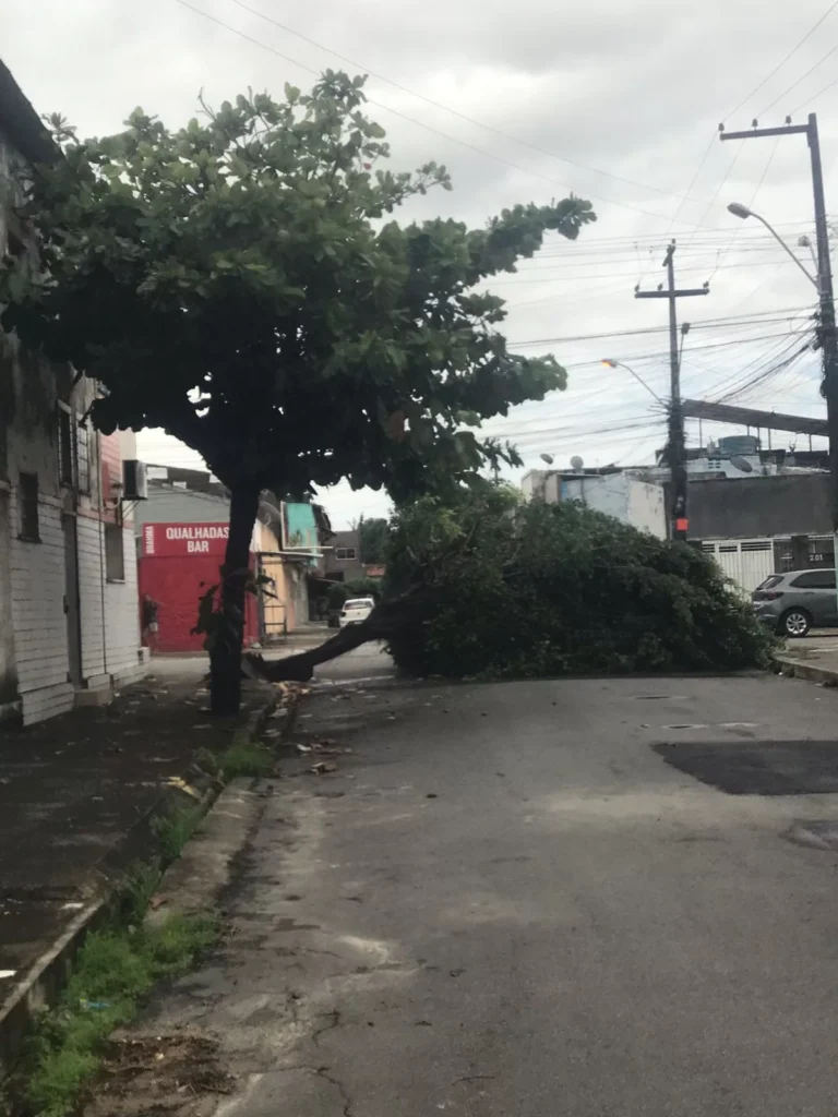 Chuva e ventos fortes derrubam árvores e deixam bairros de Maceió sem luz