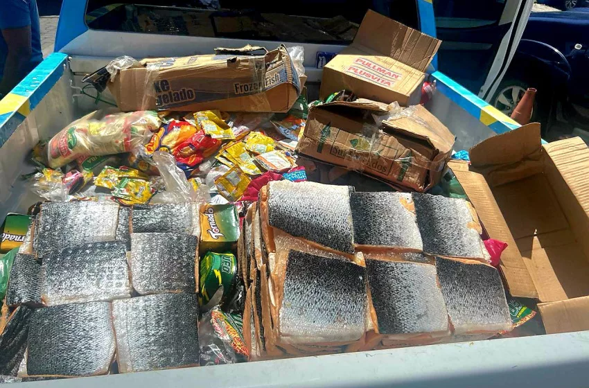 Peixes, leites e doces: 500 kg de produtos vencidos são apreendidos em Maceió
